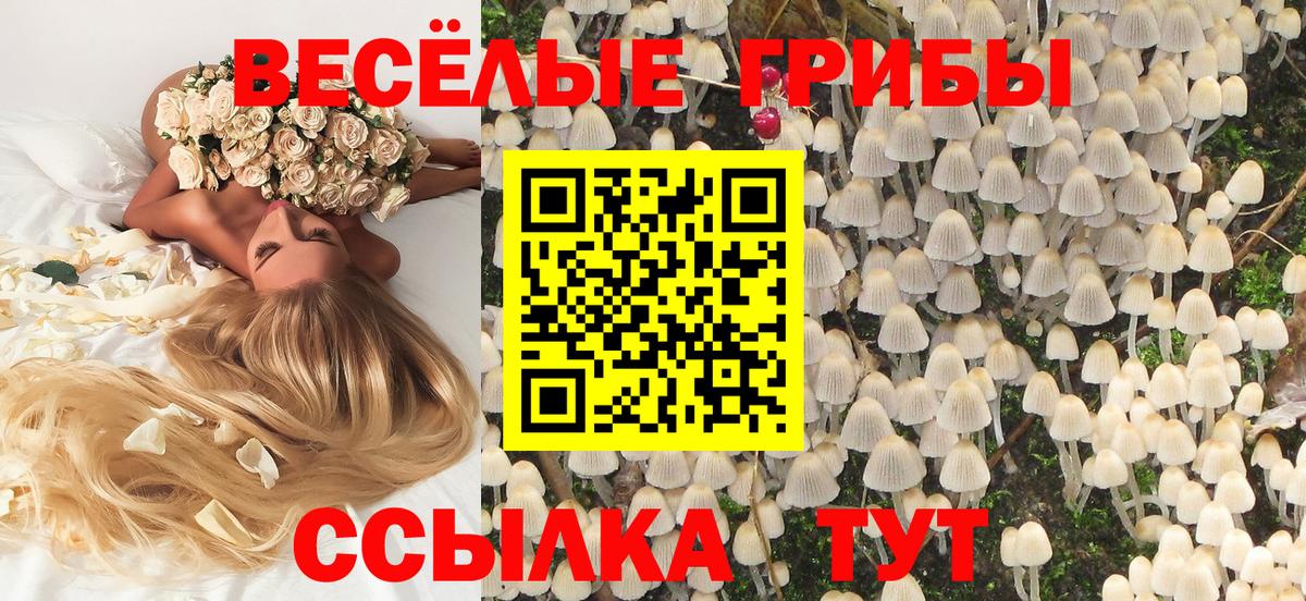 Псилоцибиновые грибы MAGIC MUSHROOMS  где купить наркотик  Ярцево  Вход с VPN 