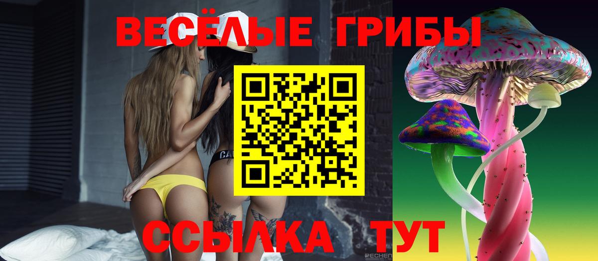 Псилоцибиновые грибы прущие грибы Ярцево
